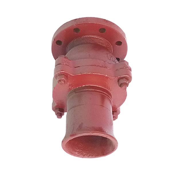 CBT3478 Cast Iron Suction Check Valve